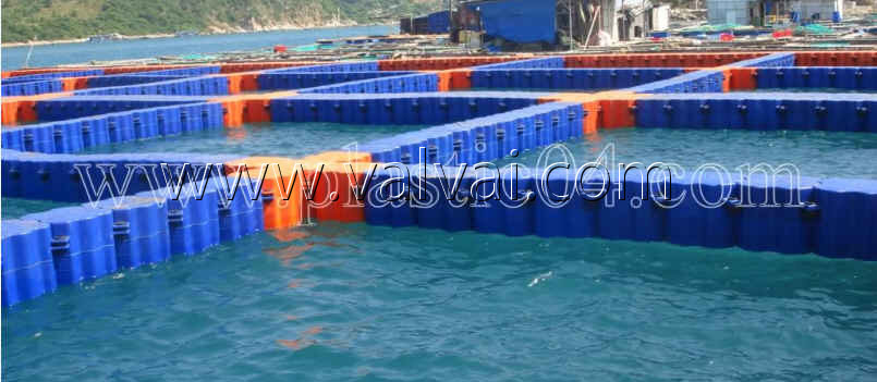 fish farm